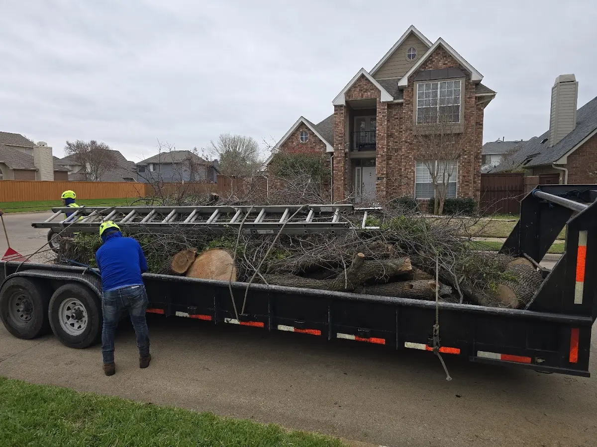 Expert Tree Removal with proper safety equipment in Woodcliff Lake